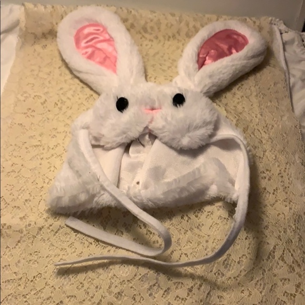 Easter Bunny Cap Pre Owned